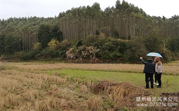 咸宁市陈老师带着爱徒寻龙点穴